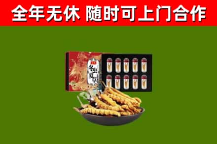 天柱回收冬虫夏草价格